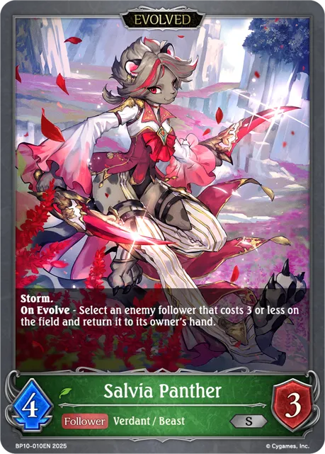 Salvia Panther