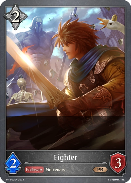 Fighter