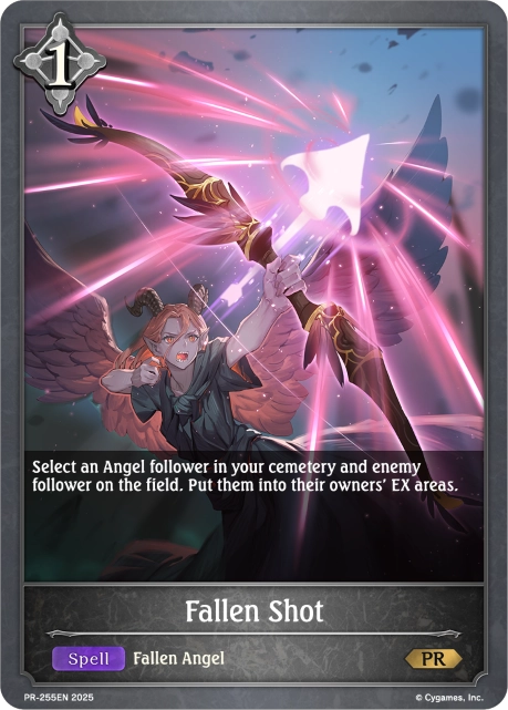 Fallen Shot